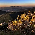 Quindici Alberi * Serra deʼ Conti