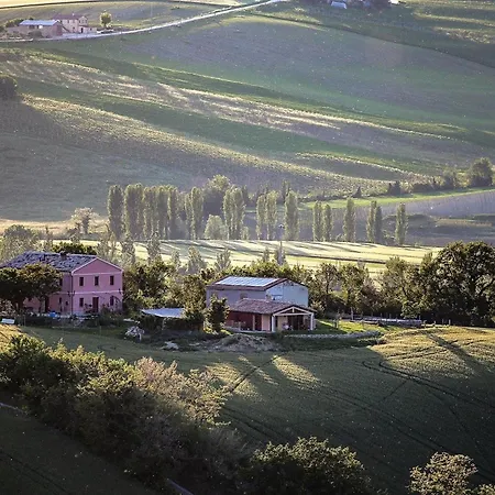 Quindici Alberi