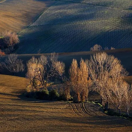 Quindici Alberi