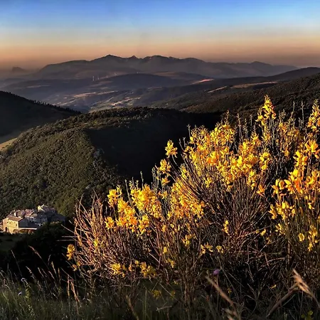 Quindici Alberi 3* Serra deʼ Conti