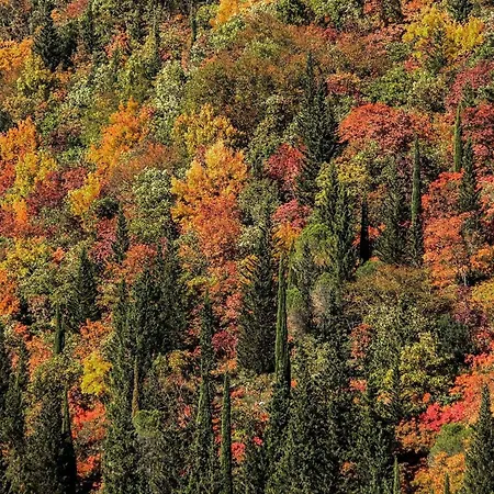 Quindici Alberi 招待所